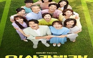 Homemade Love Story 2020 (Kore)